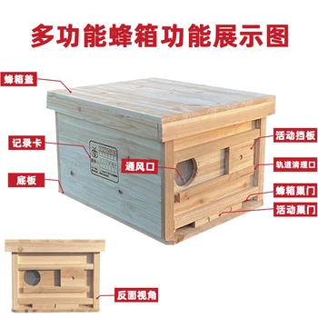 Средний улей Пчелиная коробка Полный набор специальных инструментов для пчеловодства Китайский еловый улей Стандартная коробка с поперечной рамой Double King King King Bee