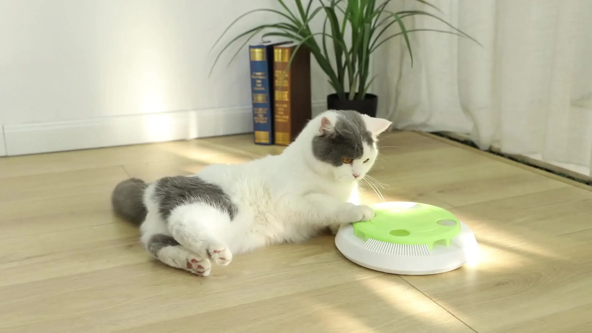 Интерактивные Товары Для домашних животных Электрическая Автоматическая Вращающаяся Электронная Игрушка для кошек с Перьями2